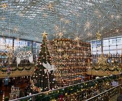 Gangnam After Dark: Where to Go When the Sun Sets