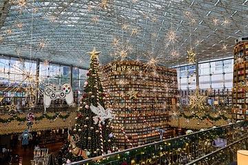 Gangnam After Dark: Where to Go When the Sun Sets